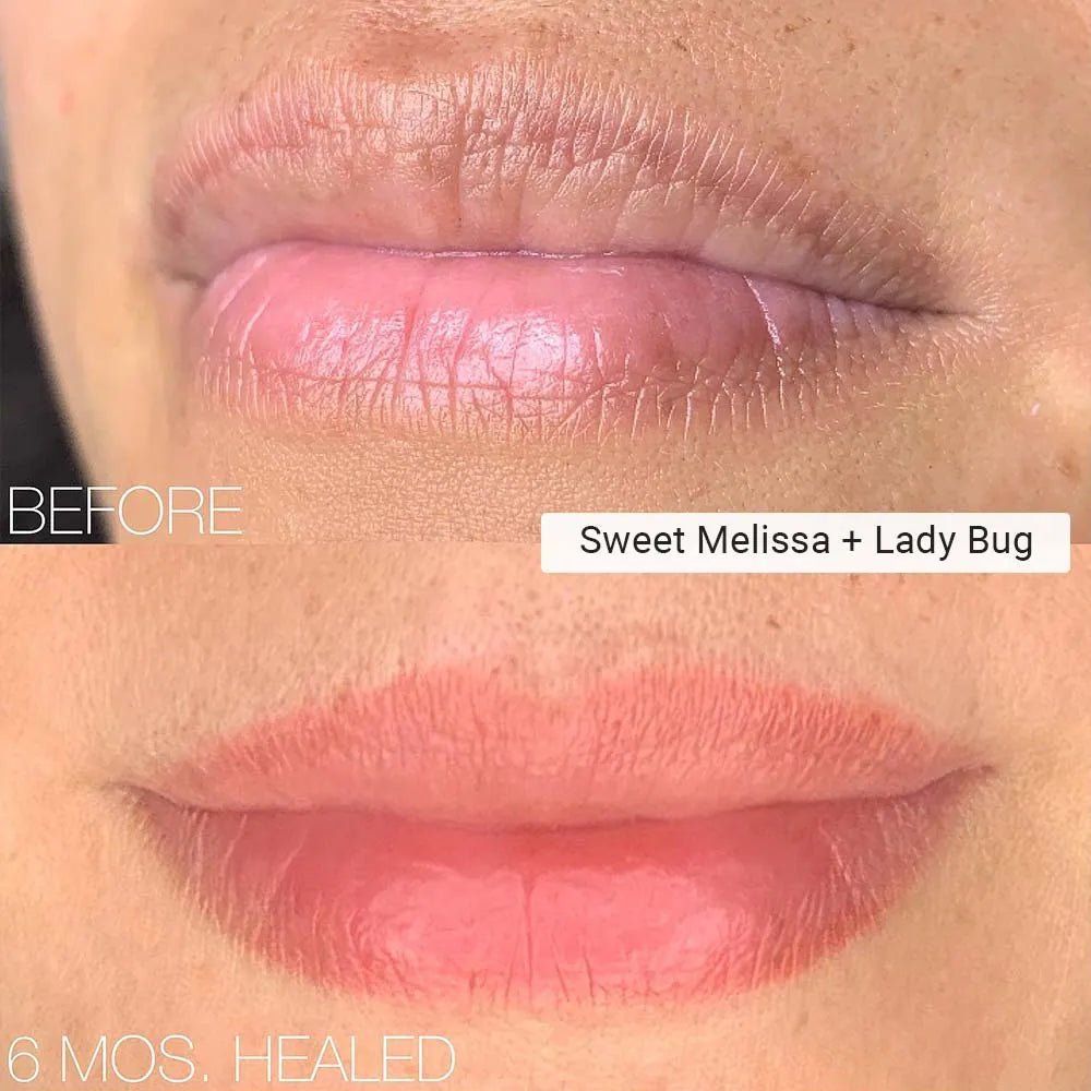 Perma Blend Lady Bug - Inkbox Artistry