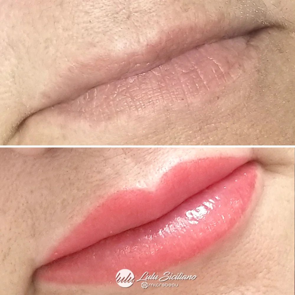 evenflo lip color chart Bare - Evenflo Lip Color by Perma Blend