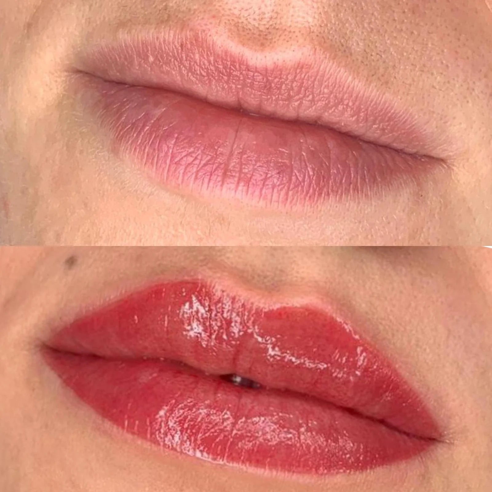 Evenflo Colours by Perma Blend - MALBEC - Inkbox Artistry