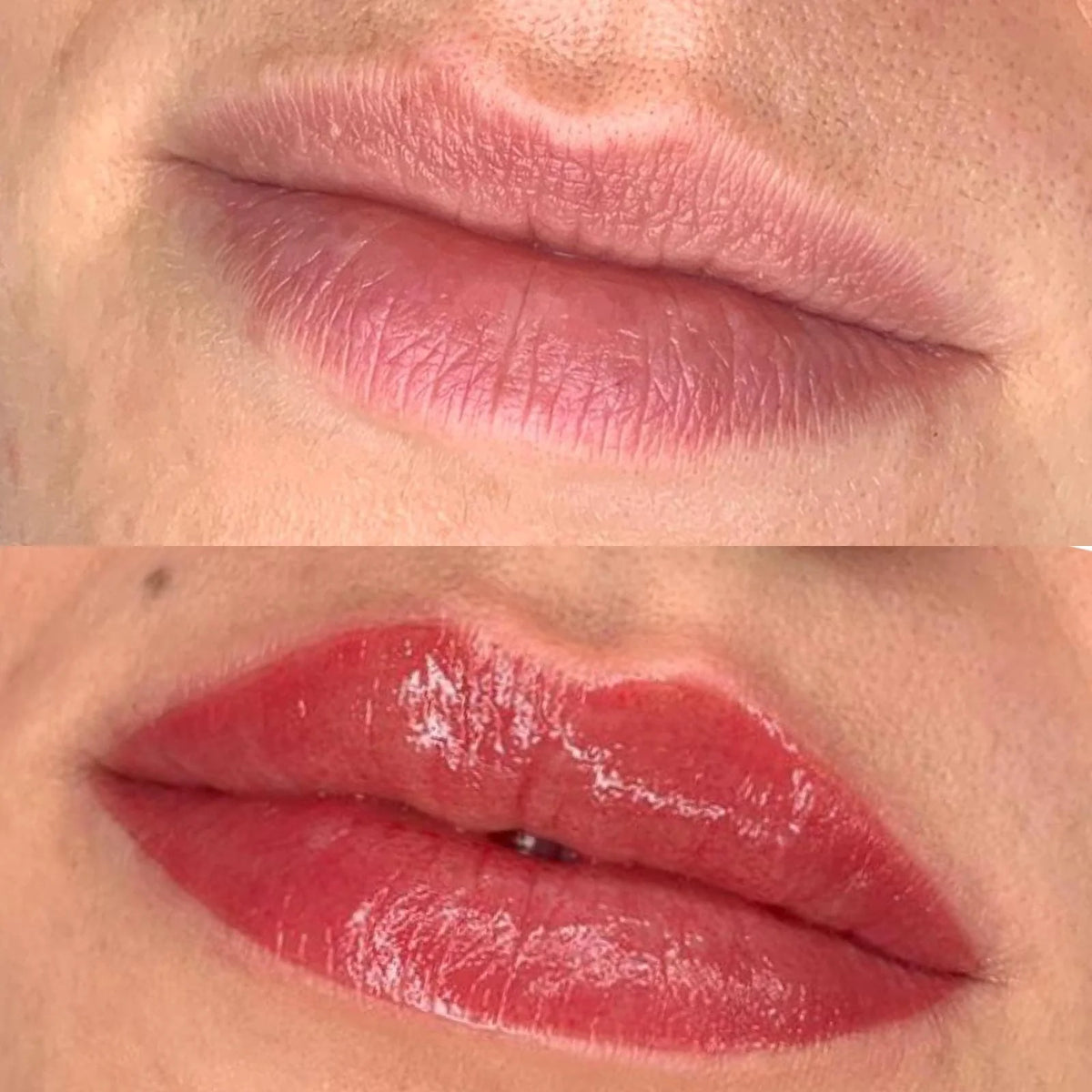 evenflo malbec - Lip Color By Perma Blend Washington Football Team will Brand_Apia Size:11ft Round The pigments are stable