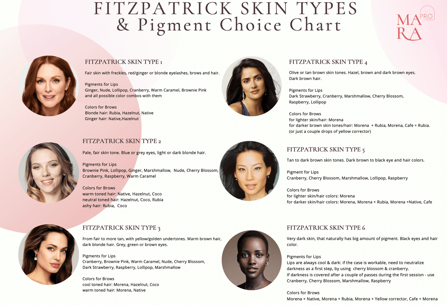 Mara Pro Eyebrow Pigments Set