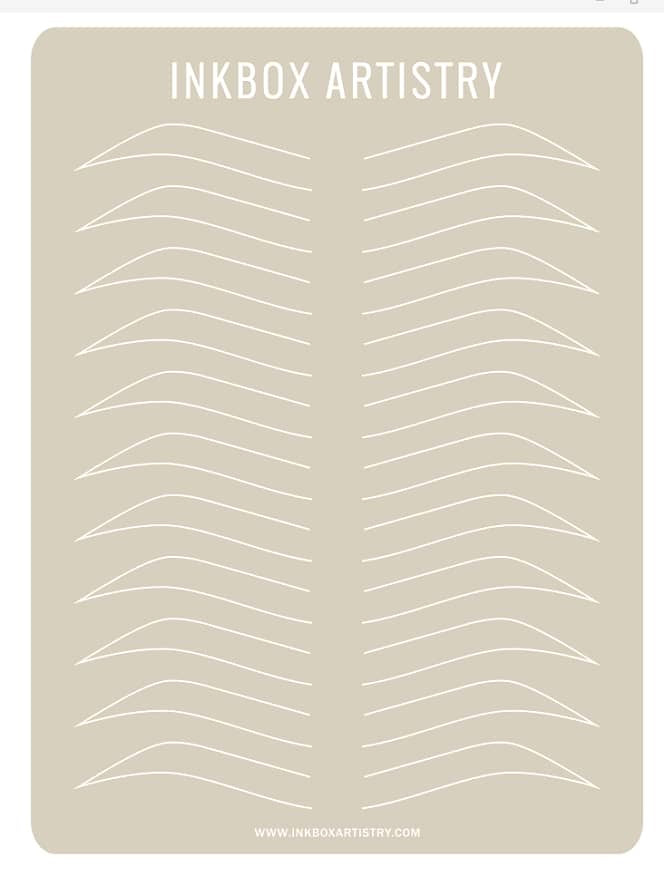 Pre- Drawn Eyebrow Practice Skin with Dotted Fronts