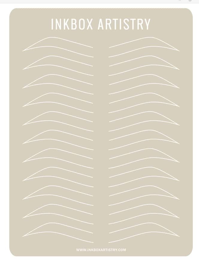 Pre - Drawn Eyebrow Practice Skin with Dotted Fronts - Inkbox Artistry