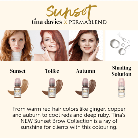 Sunset Brow Pigment Collection - Tina Davies x Perma Blend (no box) - Inkbox Artistry