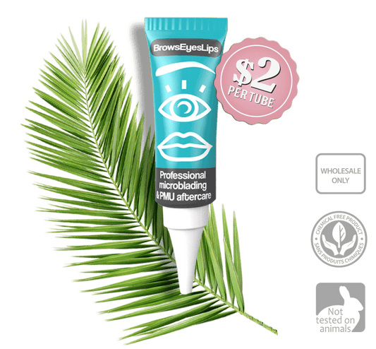 Brows Eyes Lips Permanent Makeup After Care - Inkbox Artistry