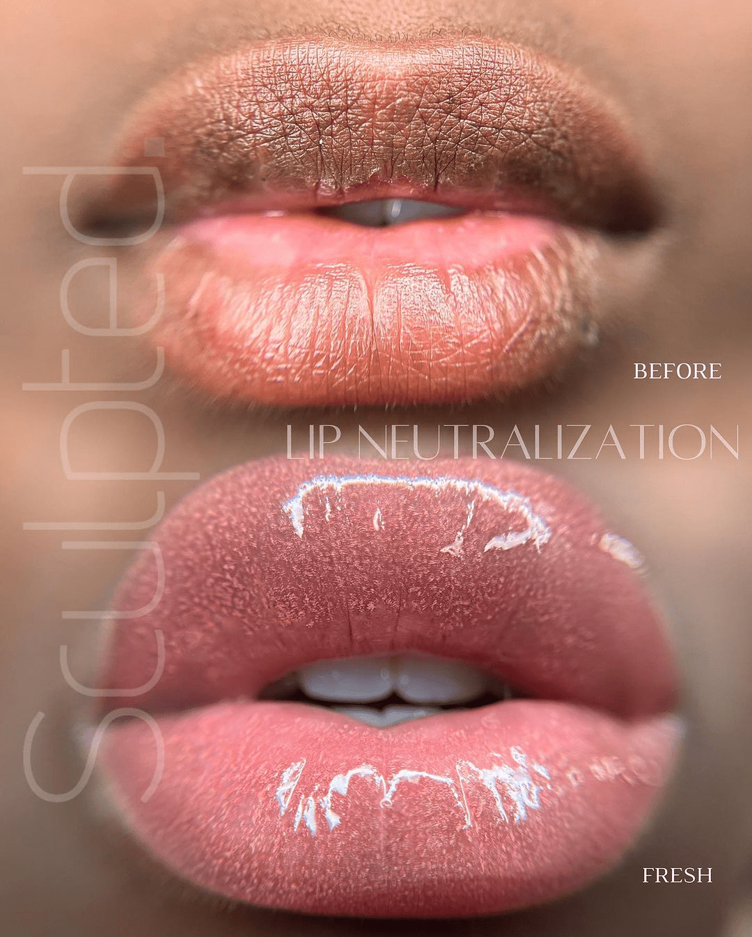 Carla Ricciardone Embody Set - Inkbox Artistry