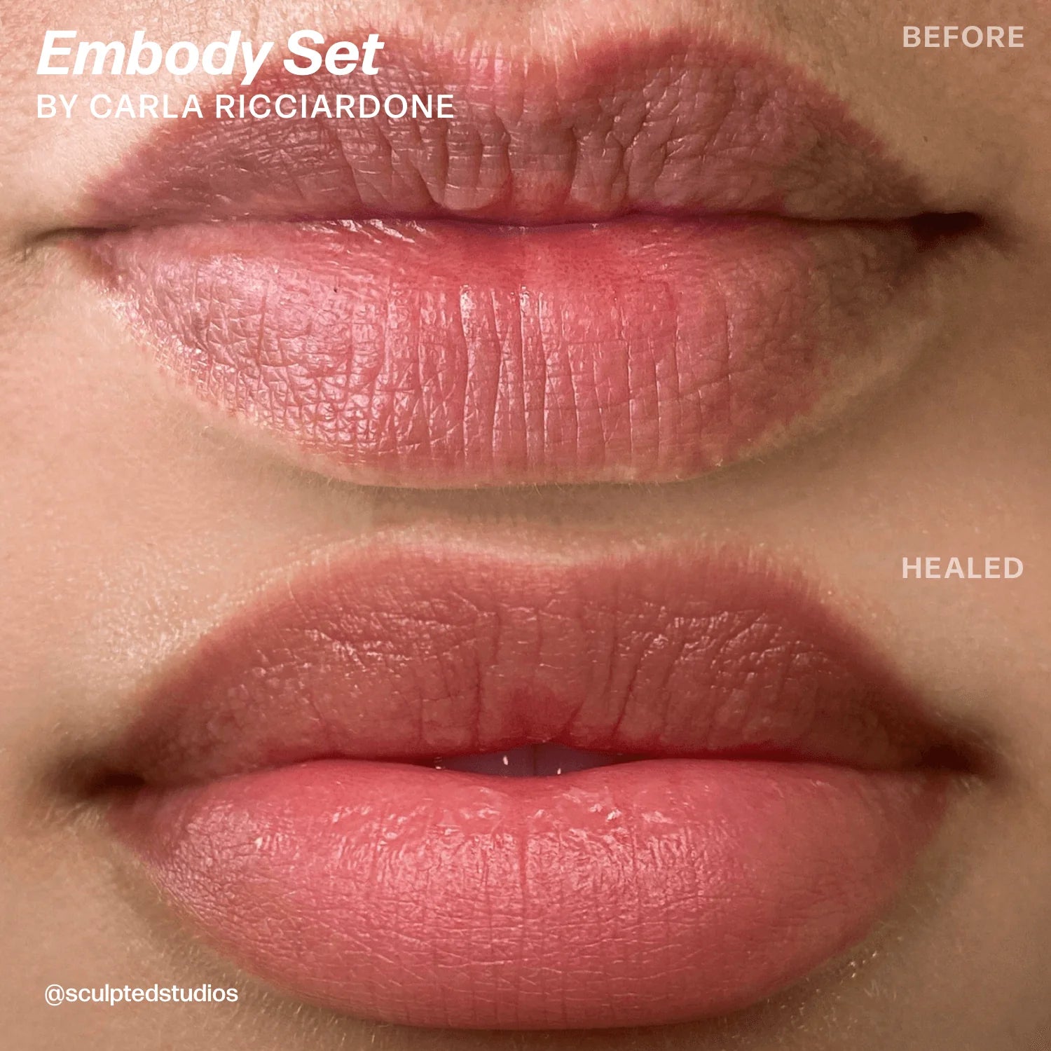 Carla Ricciardone Embody Set - Inkbox Artistry