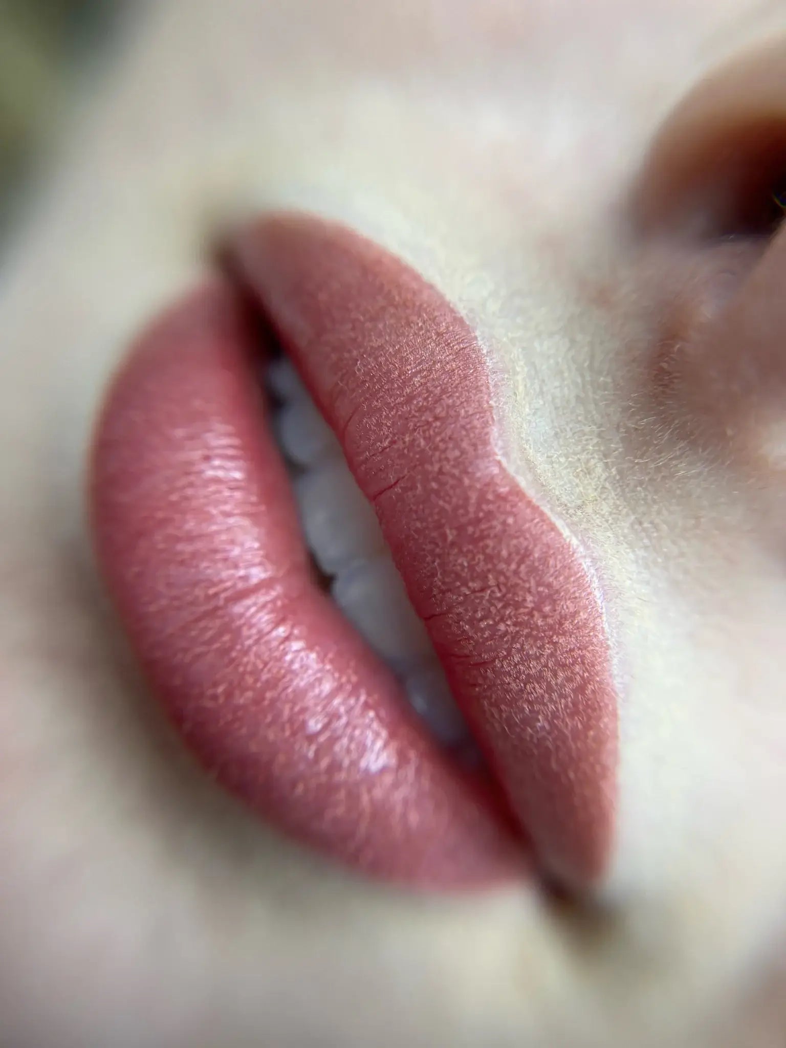 Earthy Lip Blush Pigment Set - Mara Pro