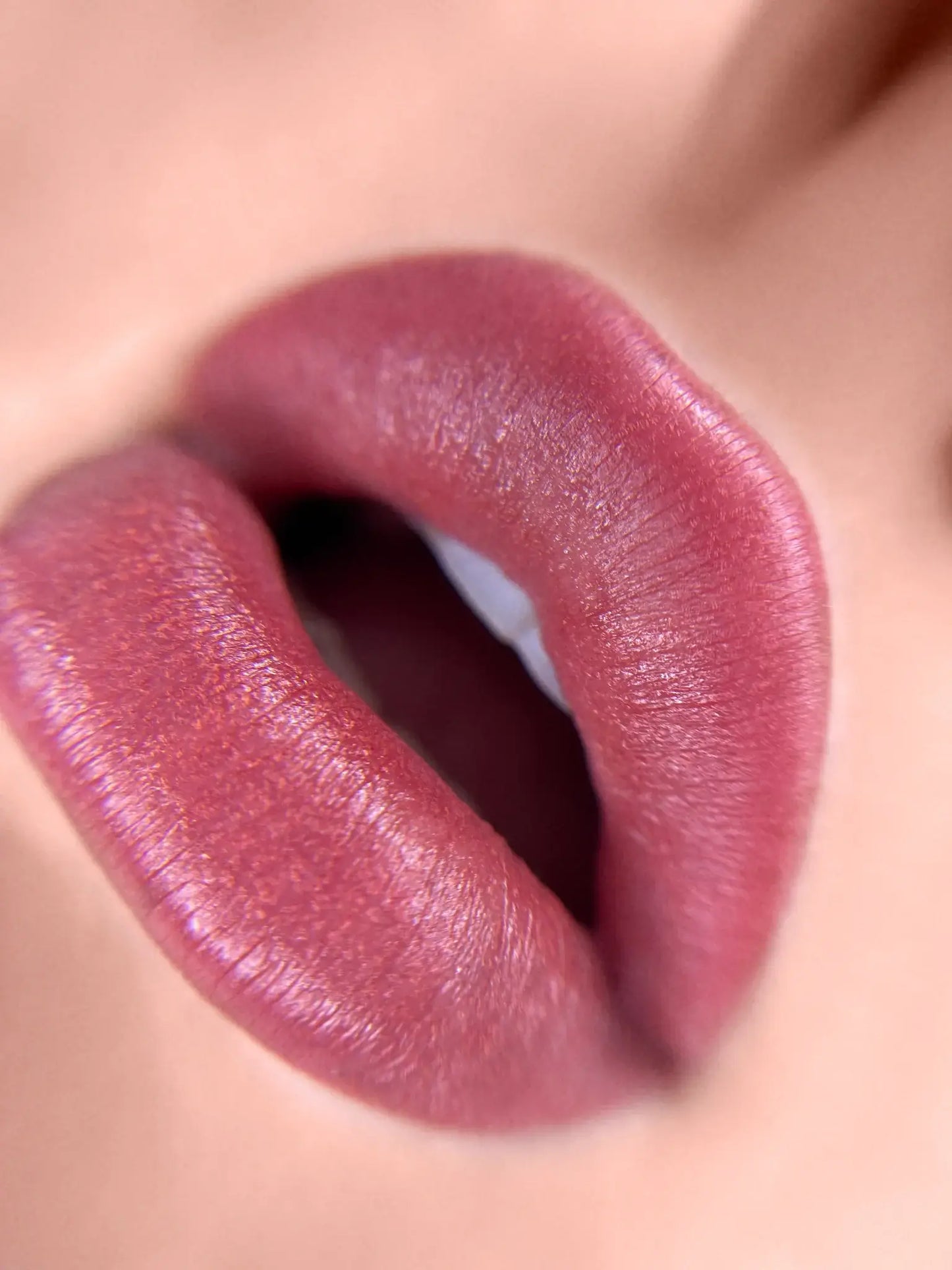 Mara Pro Earthy Lip Blush Pigment Set