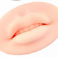 3d pmu practice lip mold 