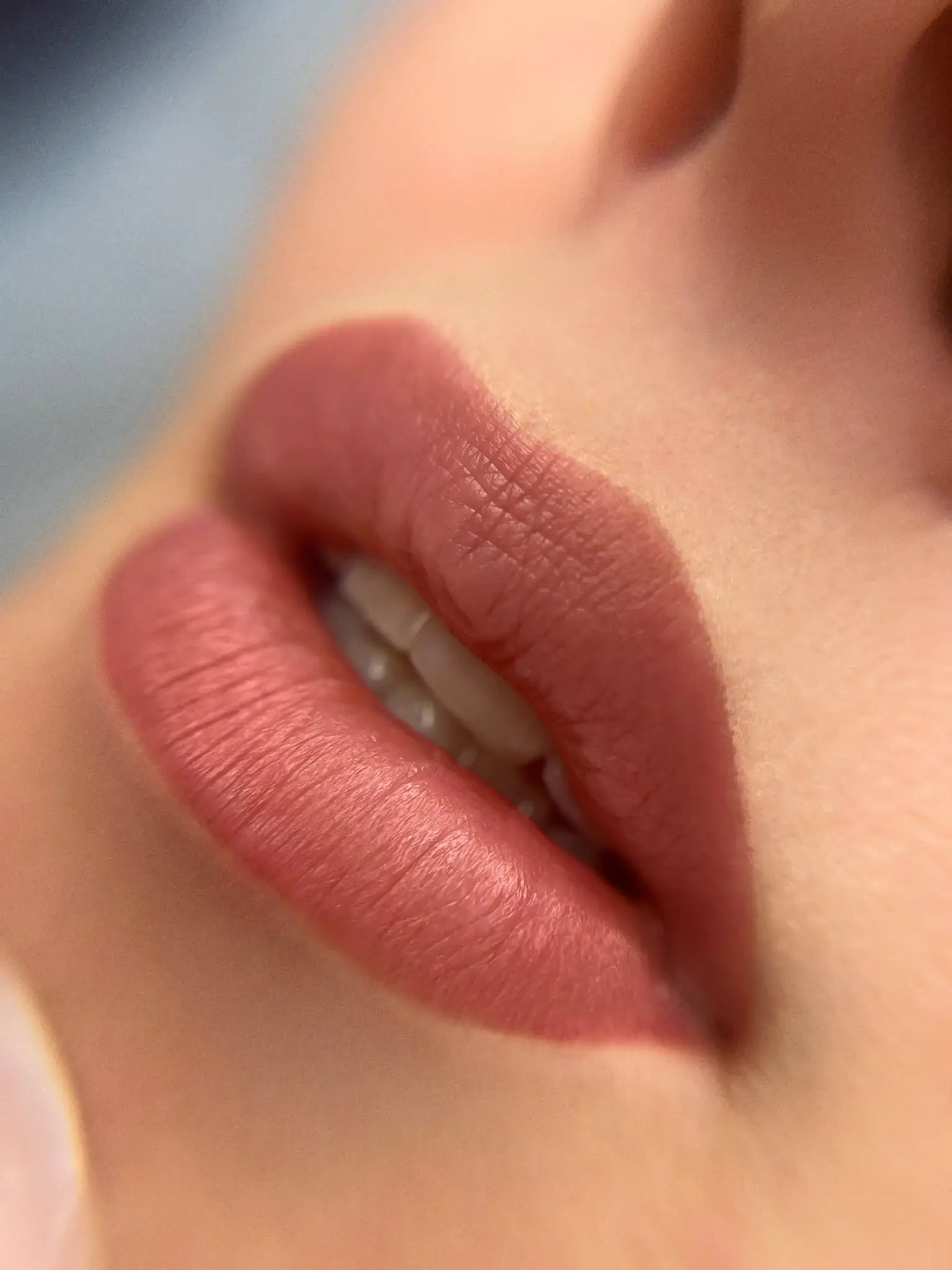 Earthy Lip Blush Pigment Set - Mara Pro