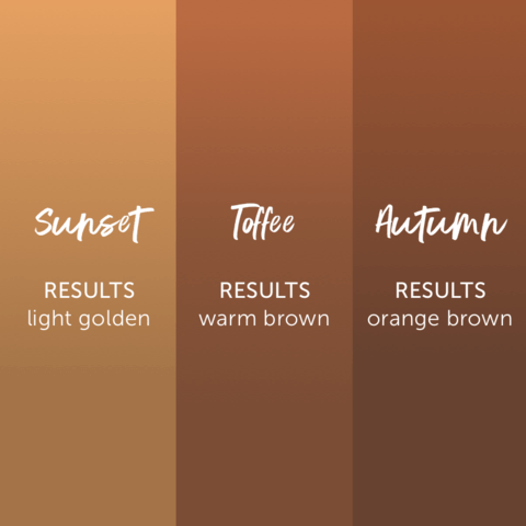 Sunset Brow Pigment Collection - Tina Davies x Perma Blend (no box) - Inkbox Artistry