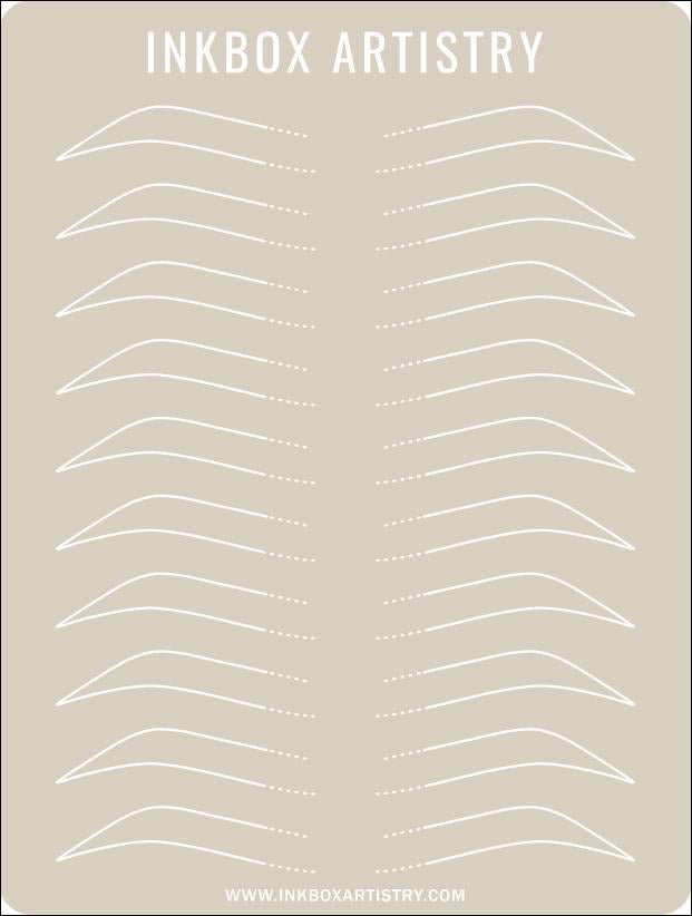 Pre - Drawn Eyebrow Practice Skin with Dotted Fronts - Inkbox Artistry