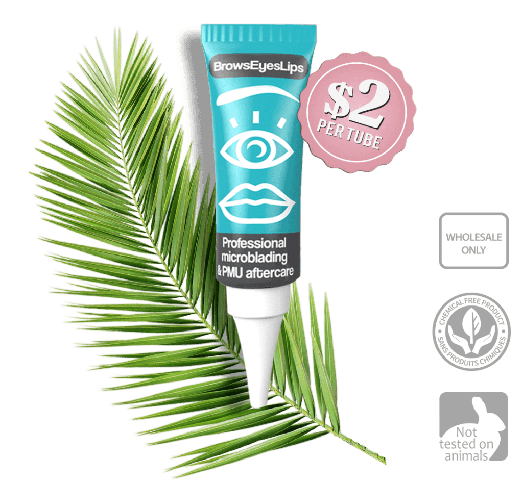 Brows Eyes Lips Permanent Makeup After Care - Inkbox Artistry