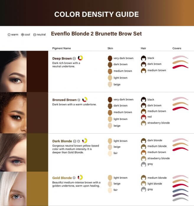 Evenflo Colours by Perma Blend - Blonde to Brunette Brow Set - Inkbox Artistry